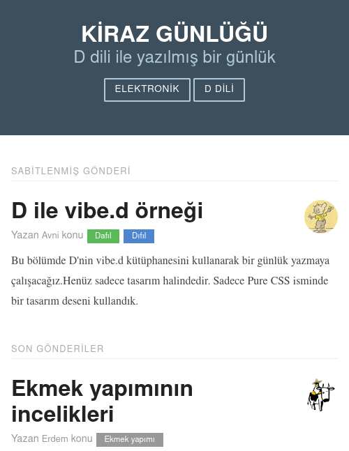 D ve vibe.d günlük esnek tasarım