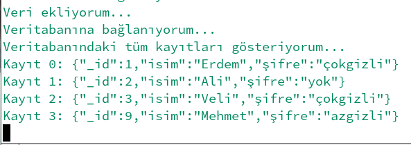 MongoDB veri okumak