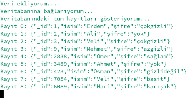 MongoDB birden fazla kayıt eklemek