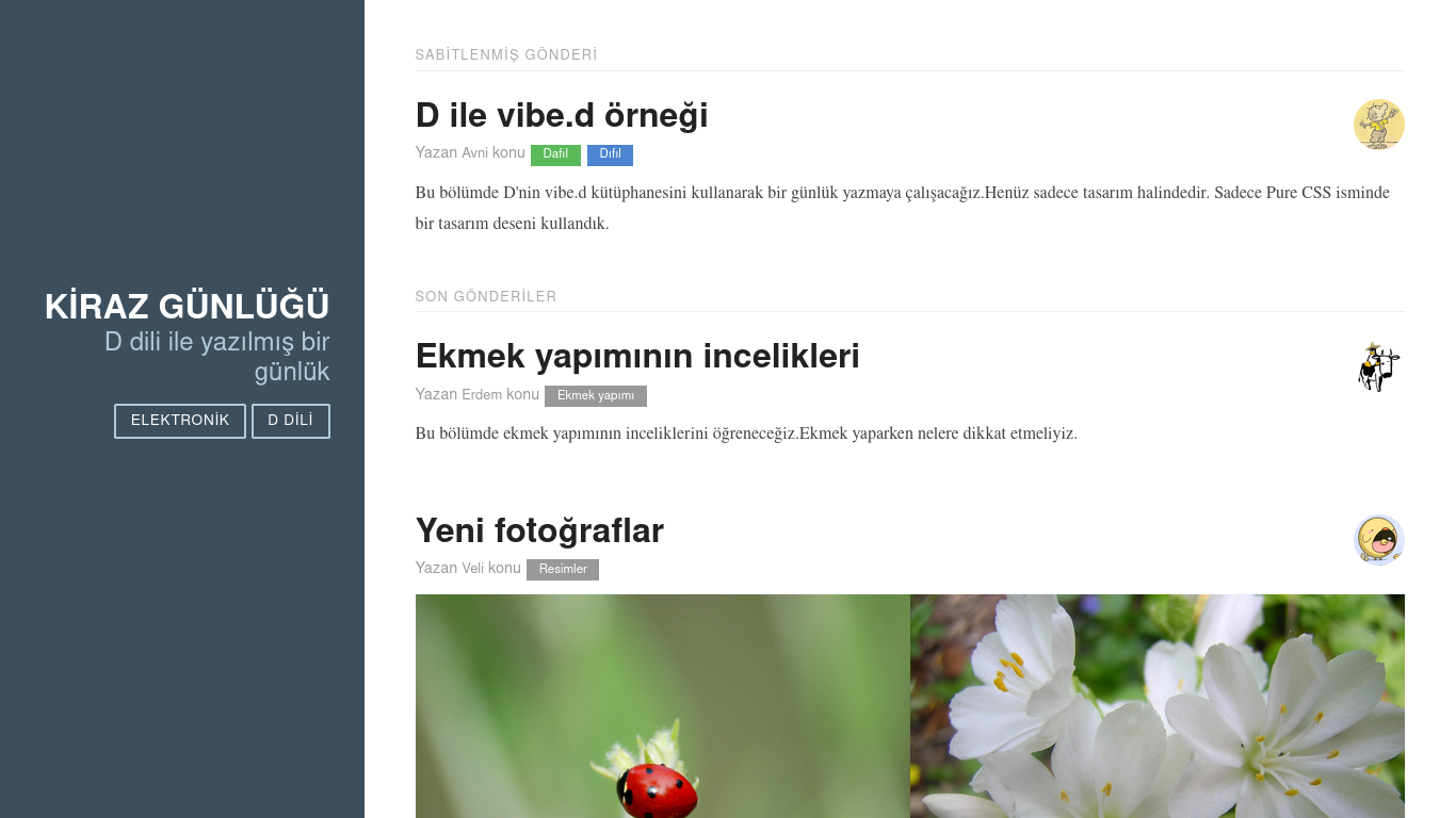 D ve vibe.d ile günlük